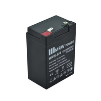 Аккумуляторная батарея Mervesan MRW 6V/4AH