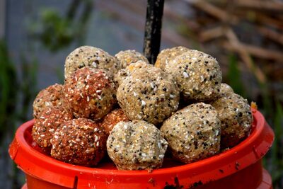 Приманки та підгодовування: секрети підвищення ефективності риболовлі