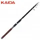 Спінінг Kaida Astore