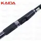 Спінінг Kaida Astore